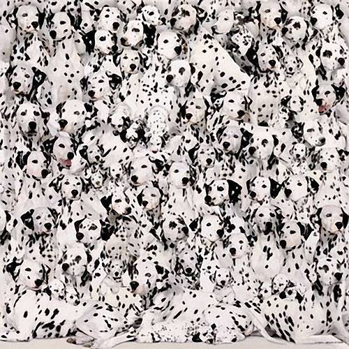 dalmatians-puzzle-02