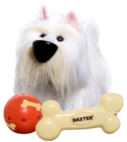 Baxter-The-Dog