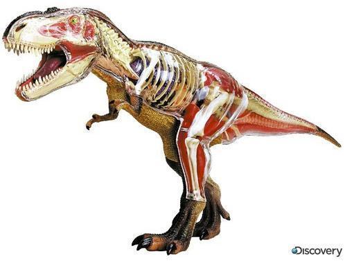 Brinquedo 3d Dinossauro T- Rex 27 Peças Madeira Para Montar