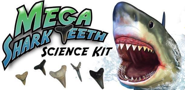 Mega-Shark-Teeth-Science-Kit-05
