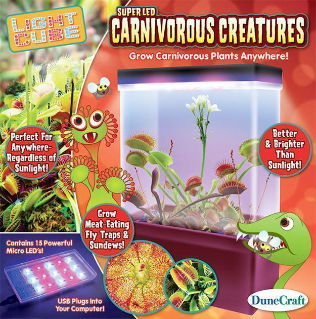 Carnivorous-Creatures-Light-Box-Kit-Plantas-Carnivoras-03
