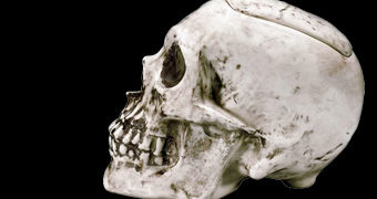 Pote de Cookies Crânio de Zumbi Humano para o Halloween