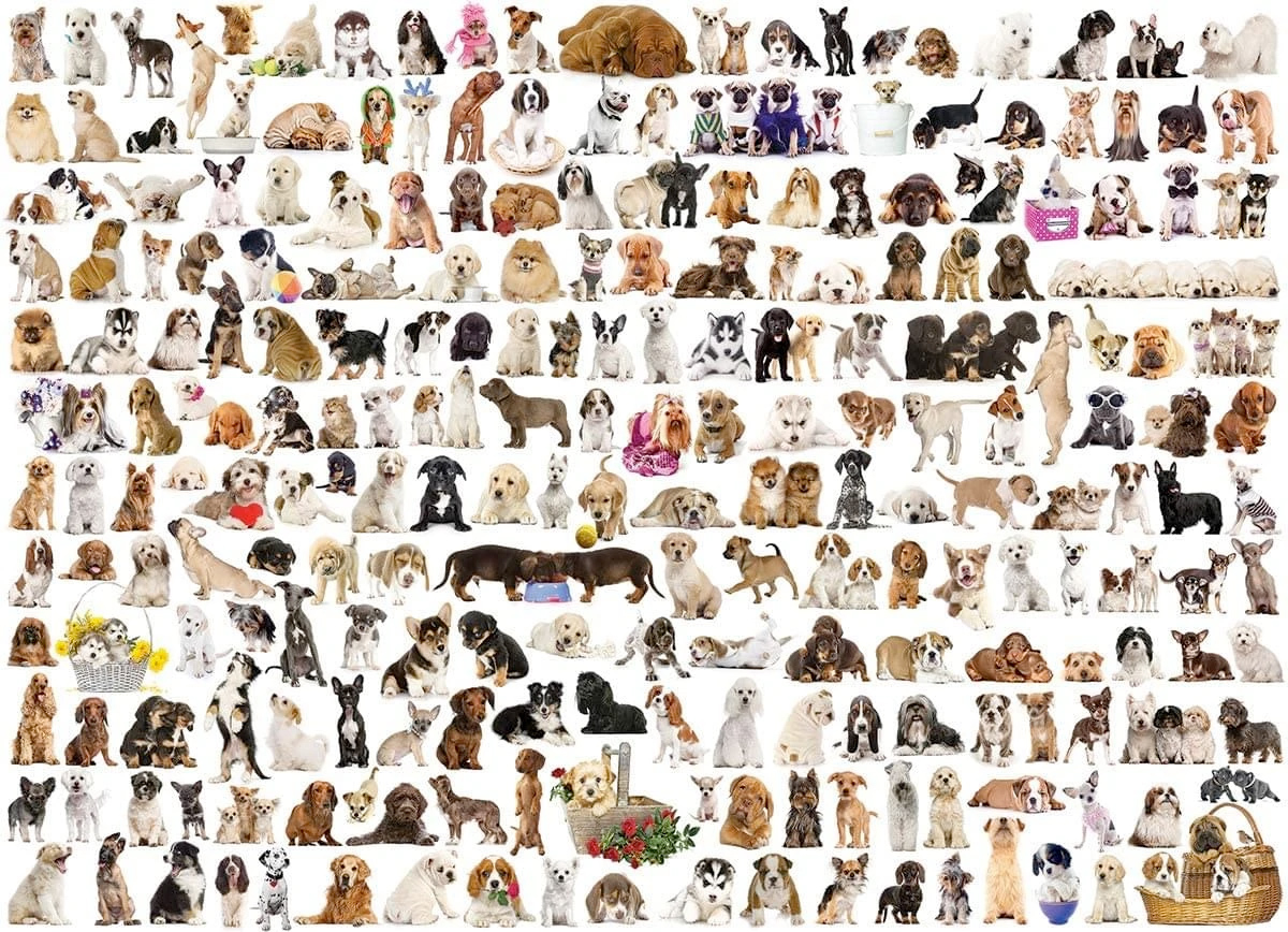 Quebra-Cabeça The World of Dogs 1000 Piece Jigsaw Puzzle