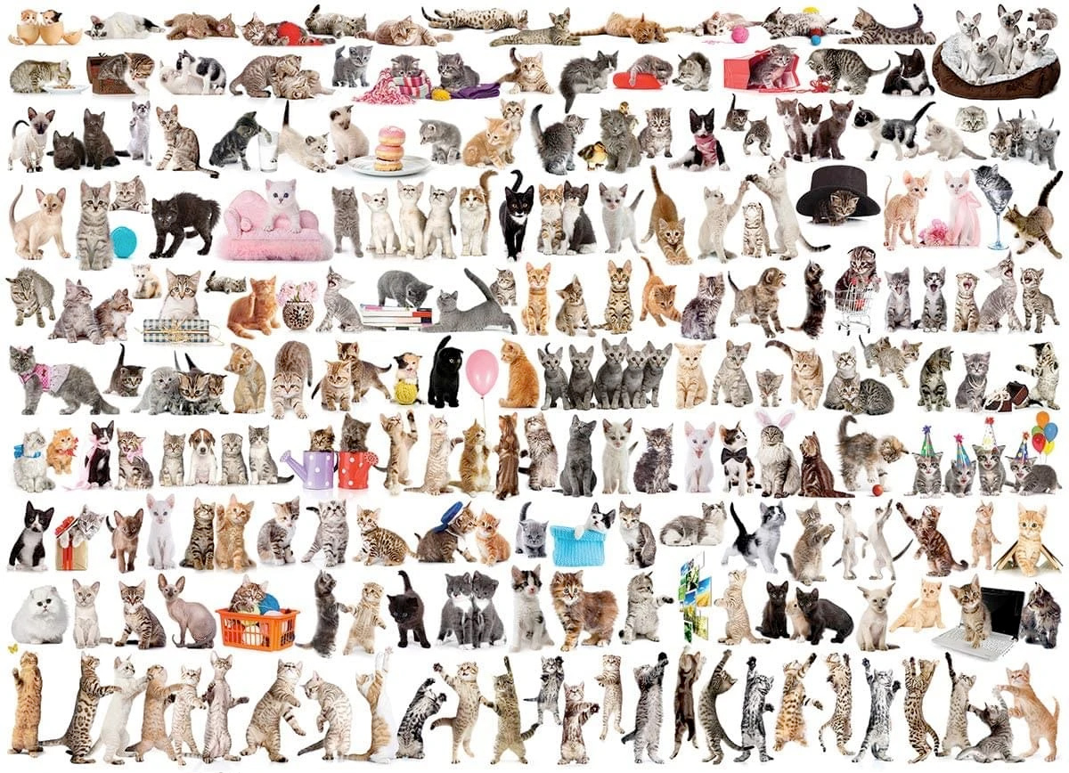 Quebra-Cabeça The World of Cats 1000 Piece Jigsaw Puzzle