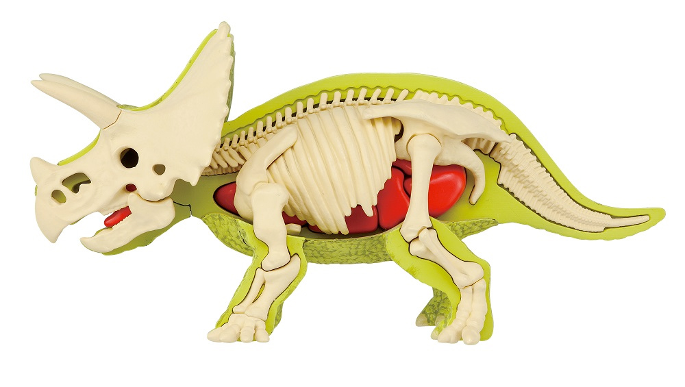Quebra Cabeca 3D Anatomico Triceratops Kaitai Puzzle