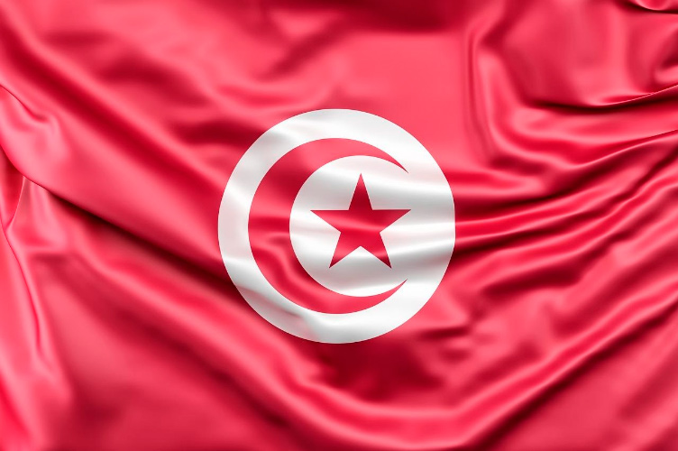 Conheça a Seleção de Futebol da Tunísia « Blog de Brinquedo