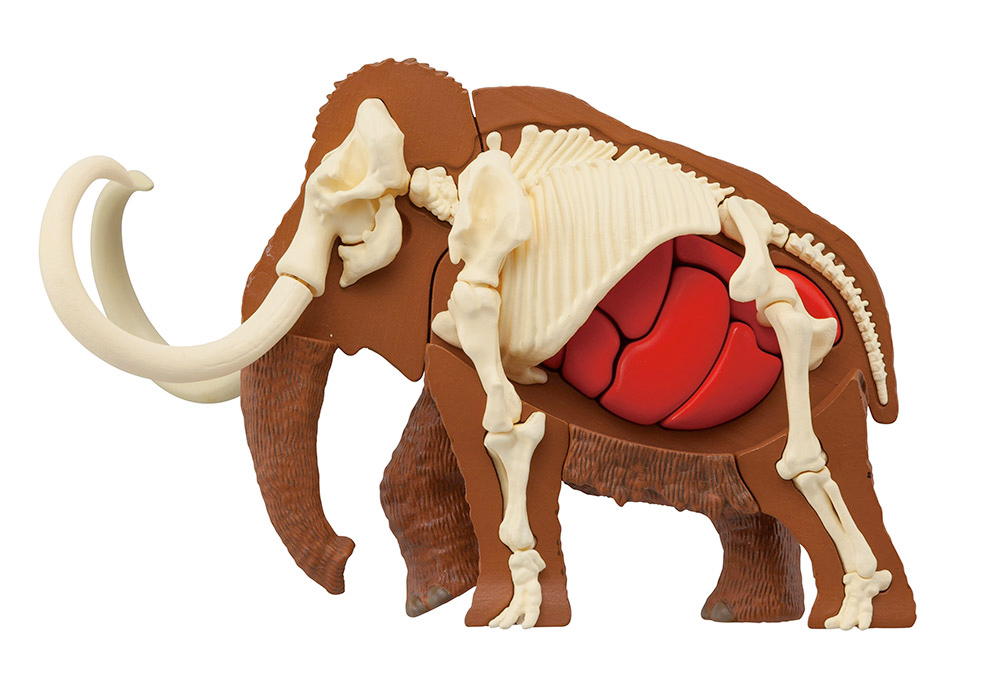 Quebra-Cabeça 3D Anatômico: Mamute da Era Paleolítica