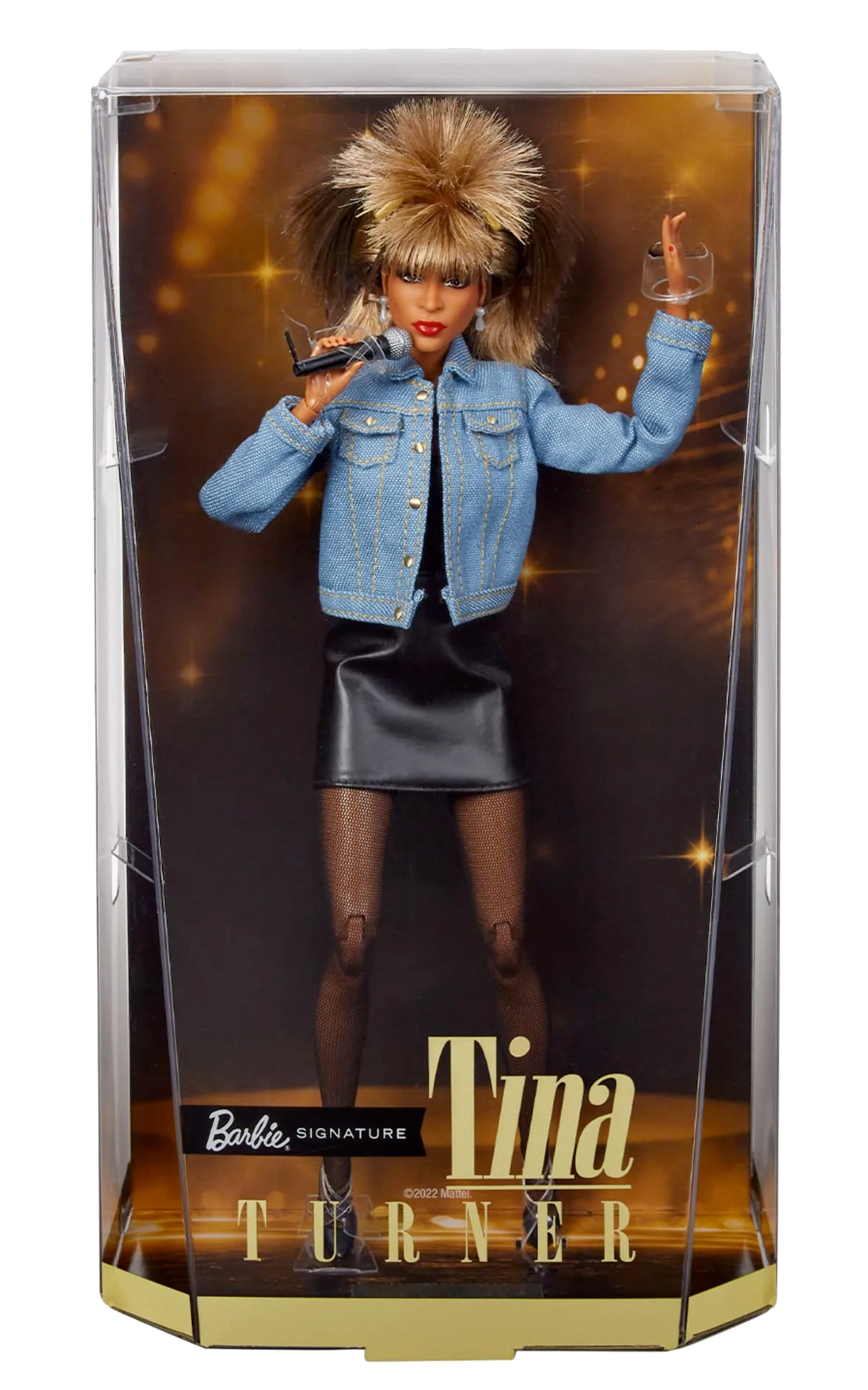 Tina Turner Barbie Signature Music Series Doll