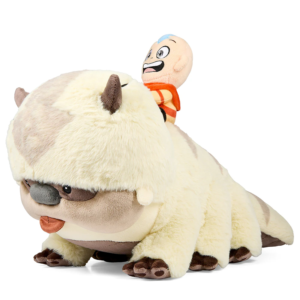 Appa With Aang 18