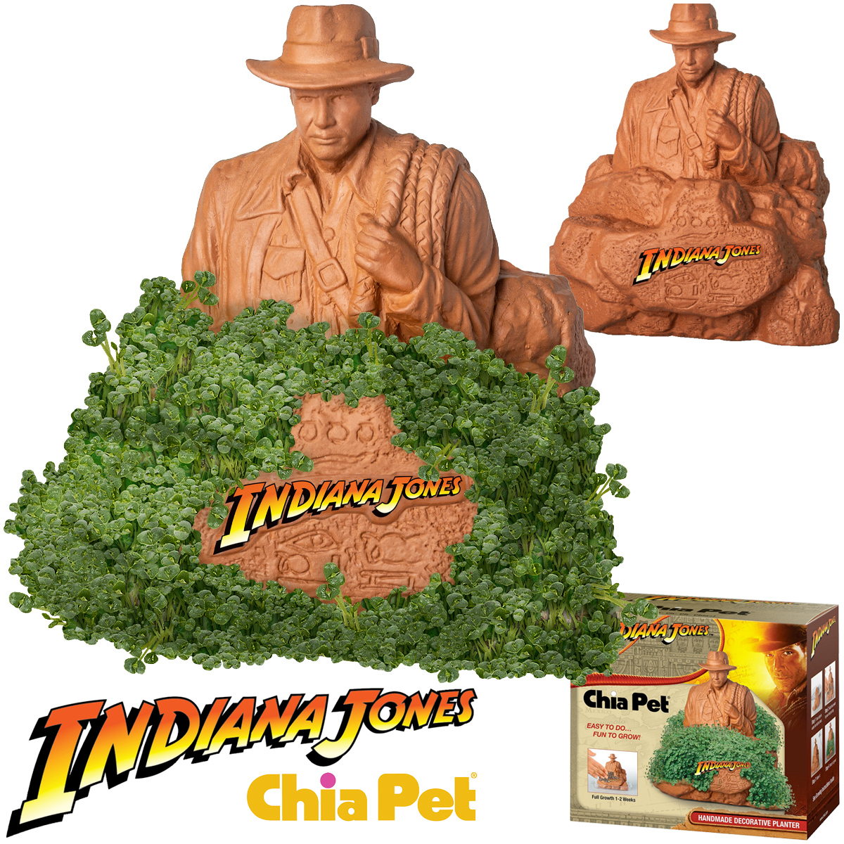 Indiana Jones Chia Pet Cercado de Grama