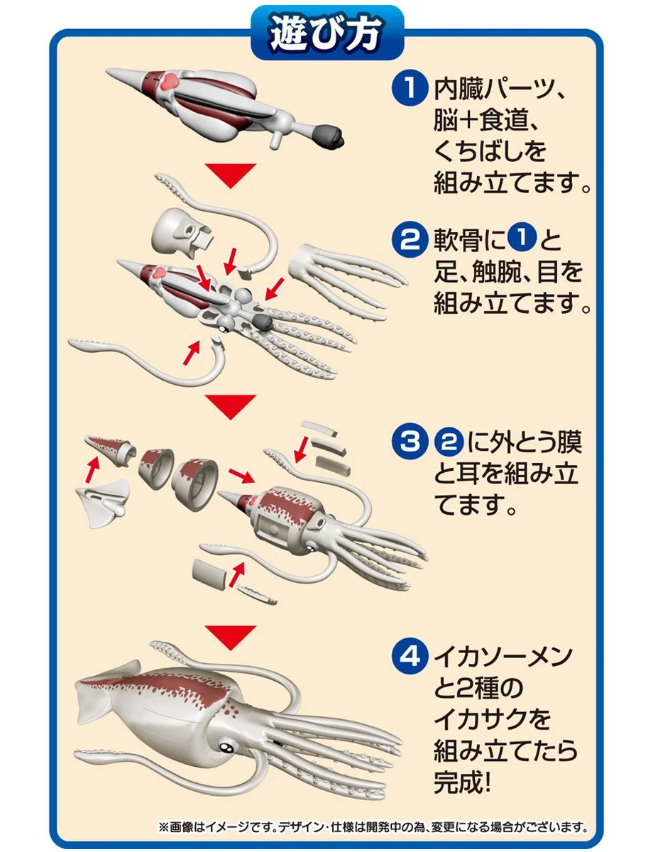 Kaitai Puzzle 3D Puzzle: Colossal Squid