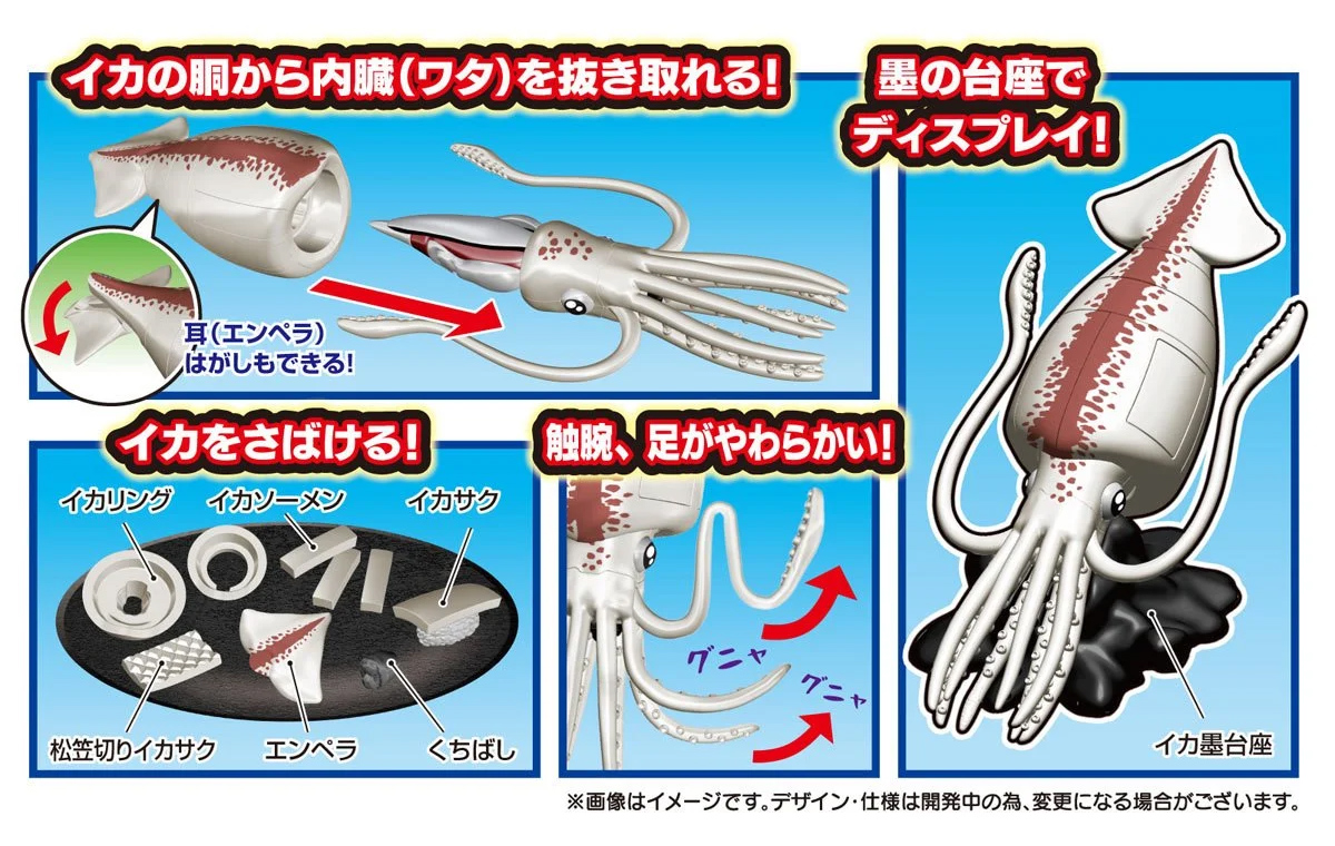 Kaitai Puzzle 3D Puzzle: Colossal Squid