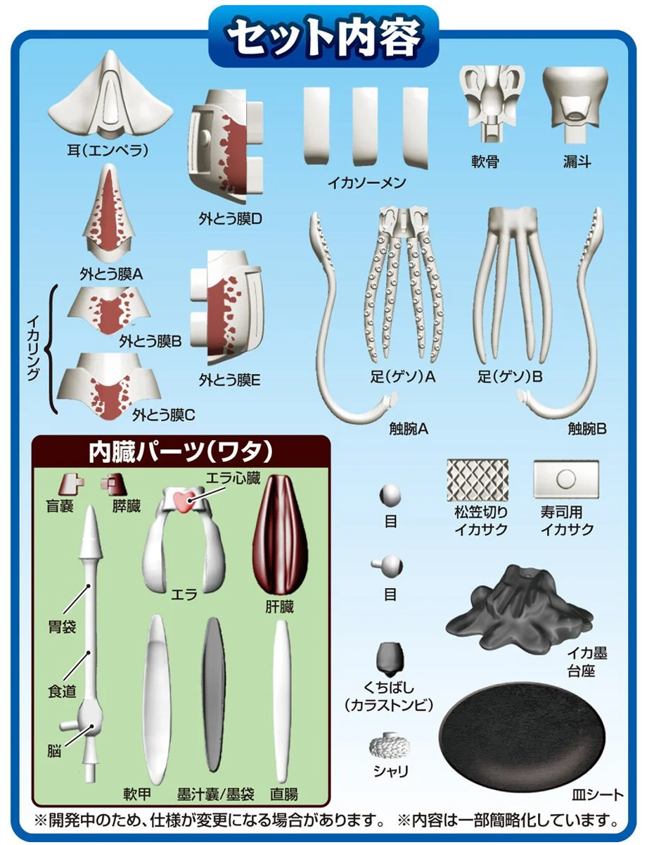 Kaitai Puzzle 3D Puzzle: Colossal Squid