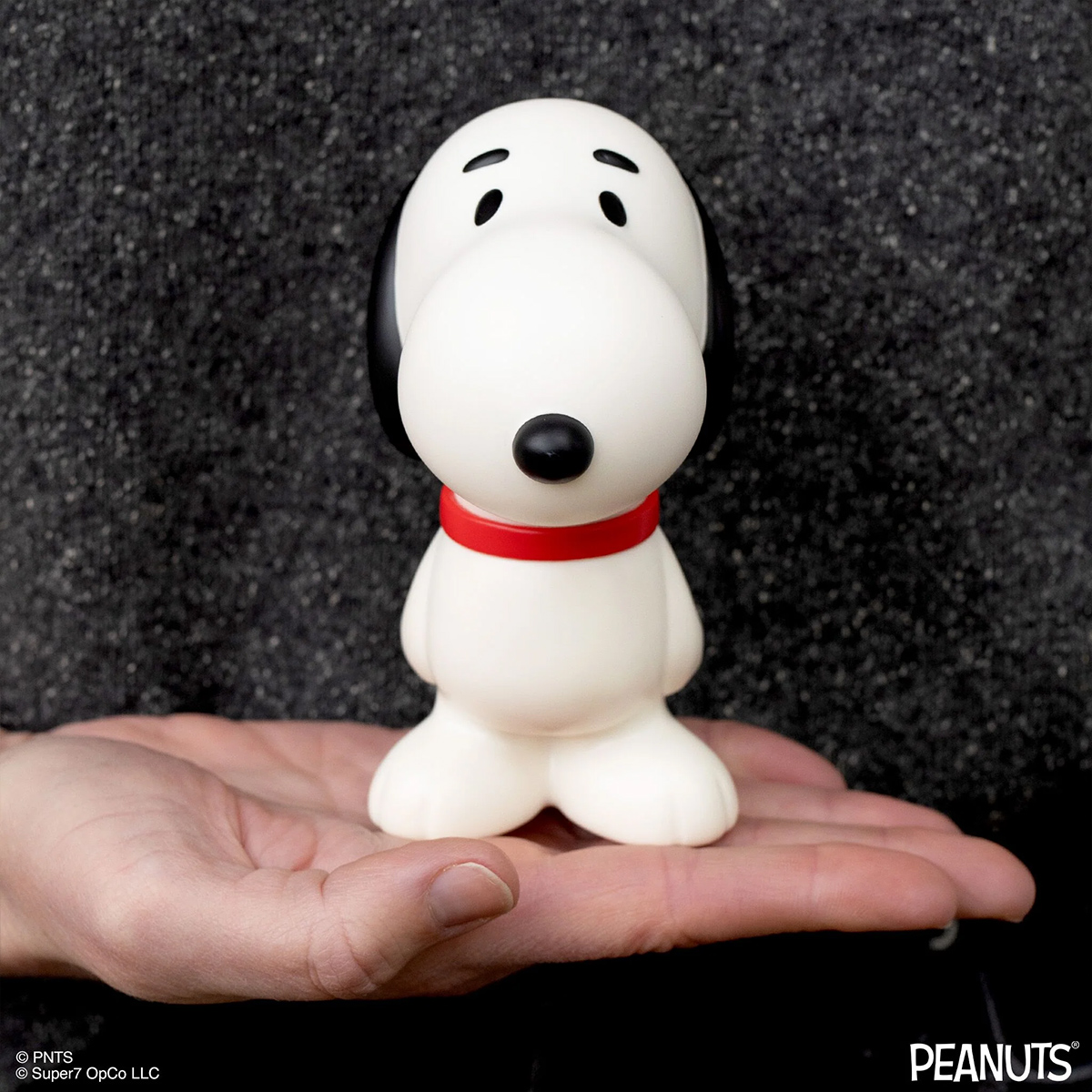 Peanuts FUN! FUN! com Snoopy e Charlie Brown