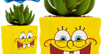 Mini-Vaso de Plantas Bob Esponja Calça Quadrada com Suculenta Artificial