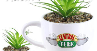 Mini-Vaso de Plantas Friends Xícara de Café Central Perk com Suculenta Artificial