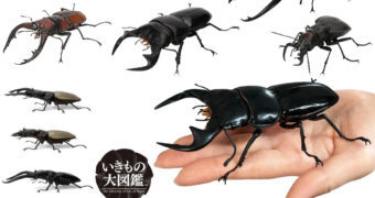 Besouros-Veado (Stag Beetle) “The Diversity of Life on Earth” (Bandai Gashapon)