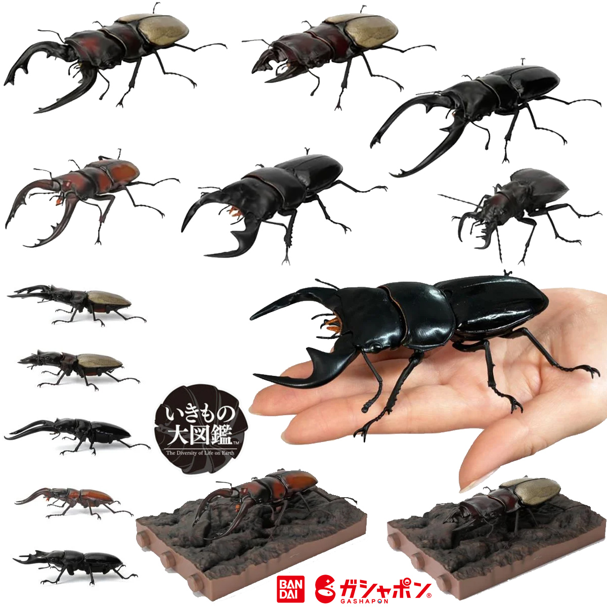 Besouros-Veado (Stag Beetle) “The Diversity of Life on Earth” (Bandai Gashapon)