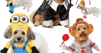 Fantasias de Carnaval Caninas: Minion Bob, Pennywise e Wandinha