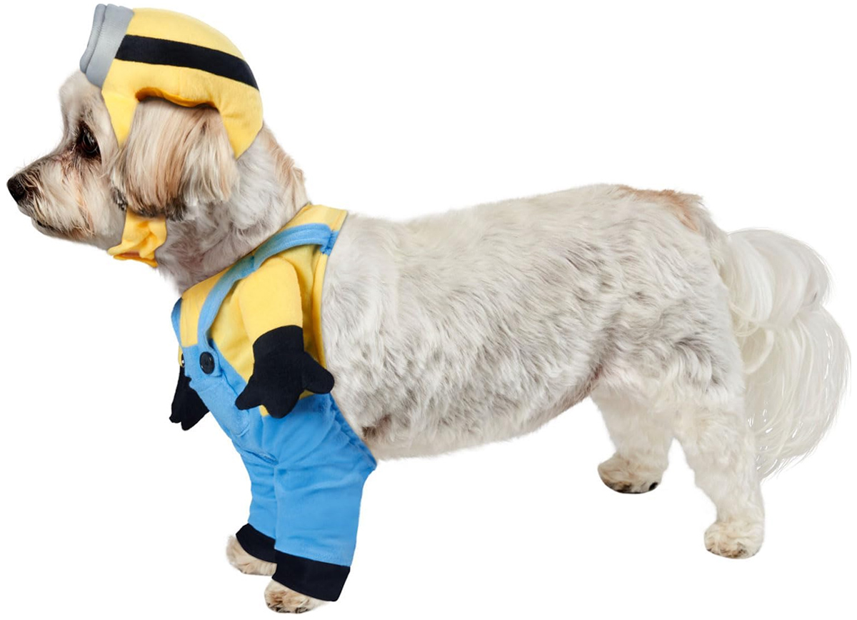 Fantasias de Carnaval Caninas: Minion Bob, Pennywise e Wandinha