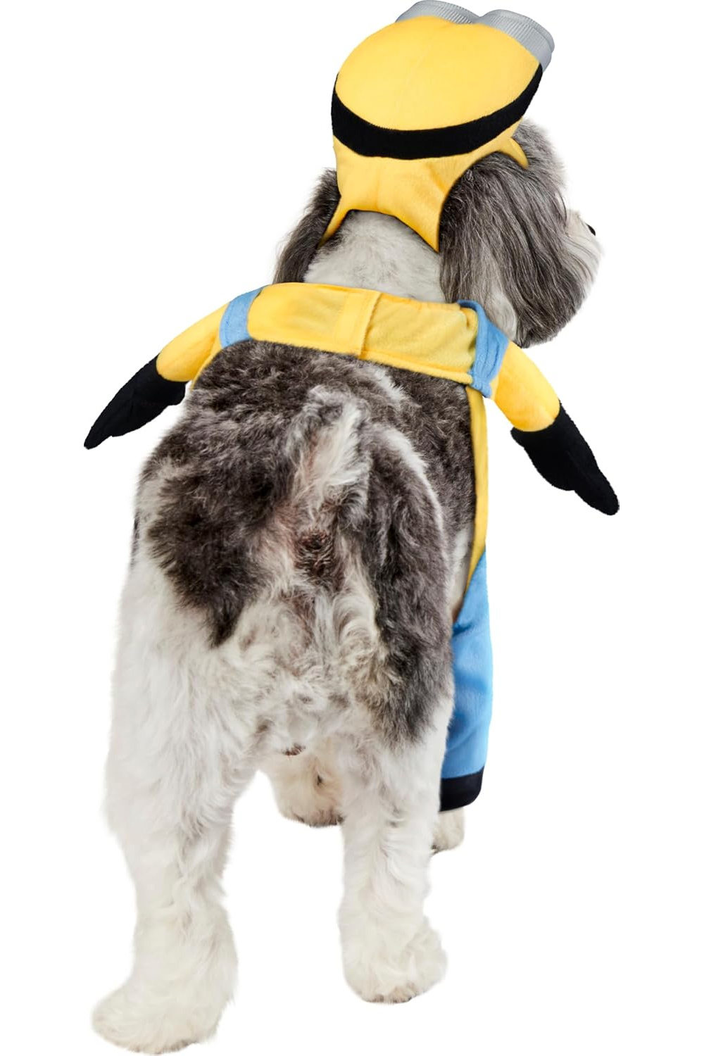 Fantasias de Carnaval Caninas: Minion Bob, Pennywise e Wandinha