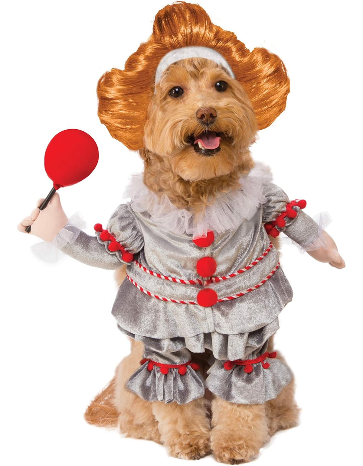 Fantasias de Carnaval Caninas: Minion Bob, Pennywise e Wandinha