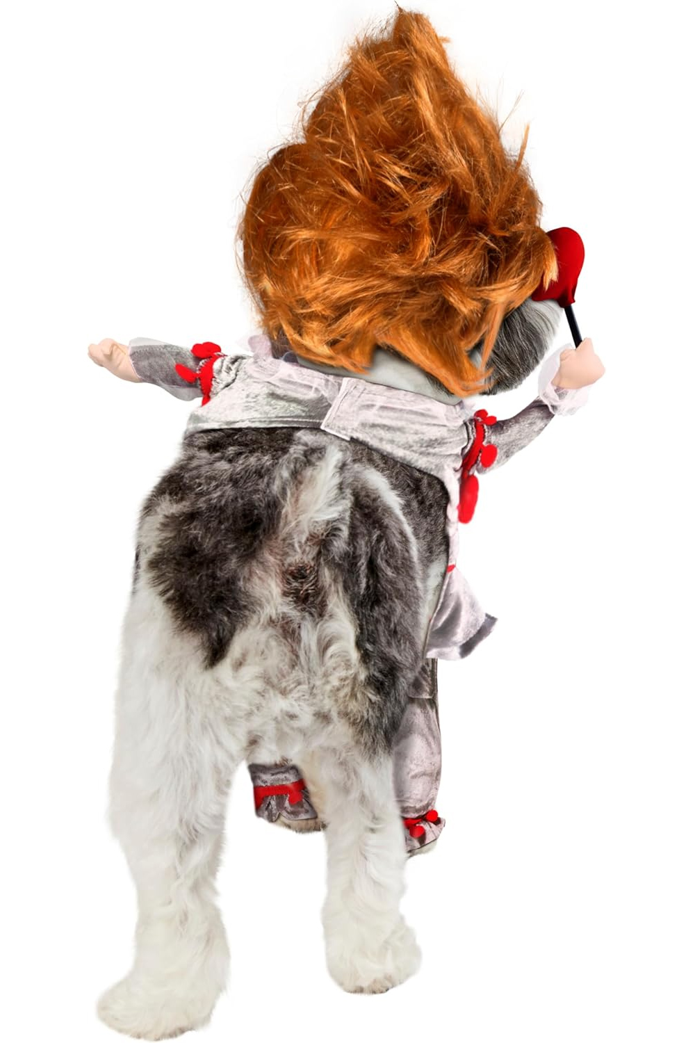 Fantasias de Carnaval Caninas: Minion Bob, Pennywise e Wandinha