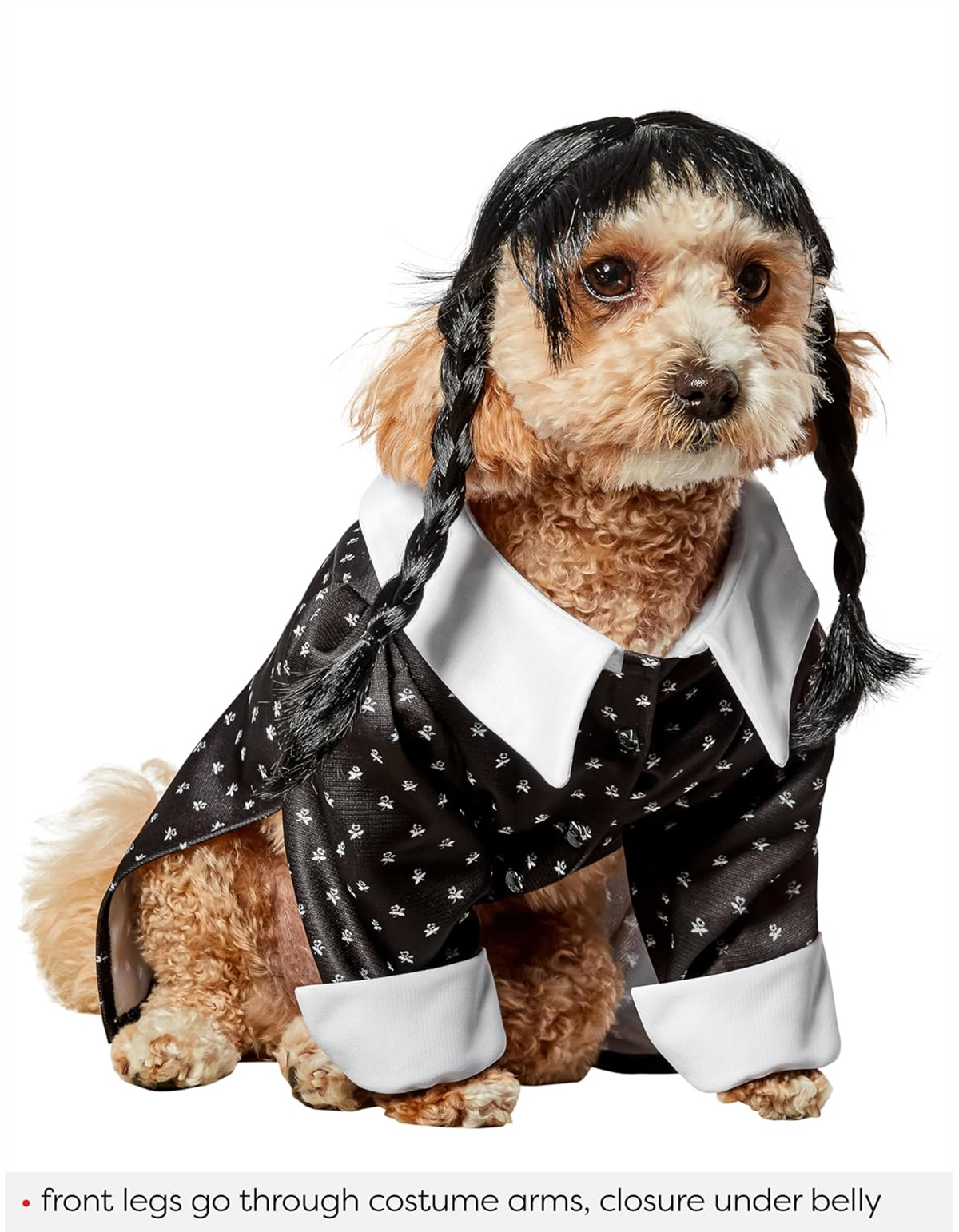 Fantasias de Carnaval Caninas: Minion Bob, Pennywise e Wandinha