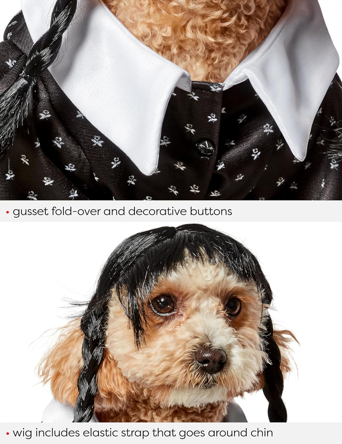 Fantasias de Carnaval Caninas: Minion Bob, Pennywise e Wandinha